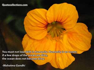 mother_teresa_quotes Quotes 3